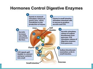 BY THANYAMON CHATURAVITKUL 44
 