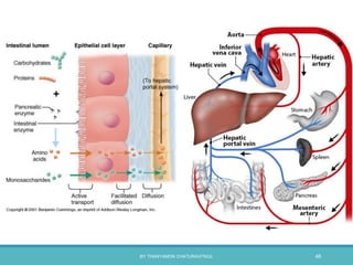 BY THANYAMON CHATURAVITKUL 46
 