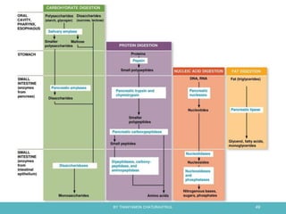 BY THANYAMON CHATURAVITKUL 49
 