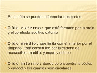 En el oído se pueden diferenciar tres partes: Oído externo:  que está formado por la oreja y el conducto auditivo externo  Oído medio:  que limita con el anterior por el tímpano. Está constituido por la cadena de huesecillos: martillo, yunque y estribo  Oído interno:  dónde se encuentra la cóclea o caracol y los canales semicirculares. 