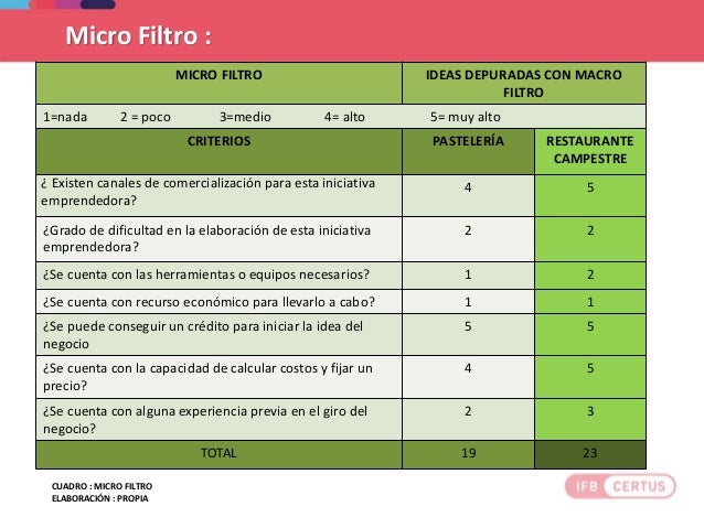 Ejemplo de Trabajo Final de Desarrollo de Idea de Negocio