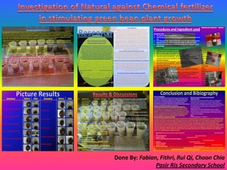 Investigation of Natural against Chemical fertilizer  in stimulating green bean plant growth Done By: Fabian, Fithri, Rui Qi, Choon Chia Pasir Ris Secondary School 