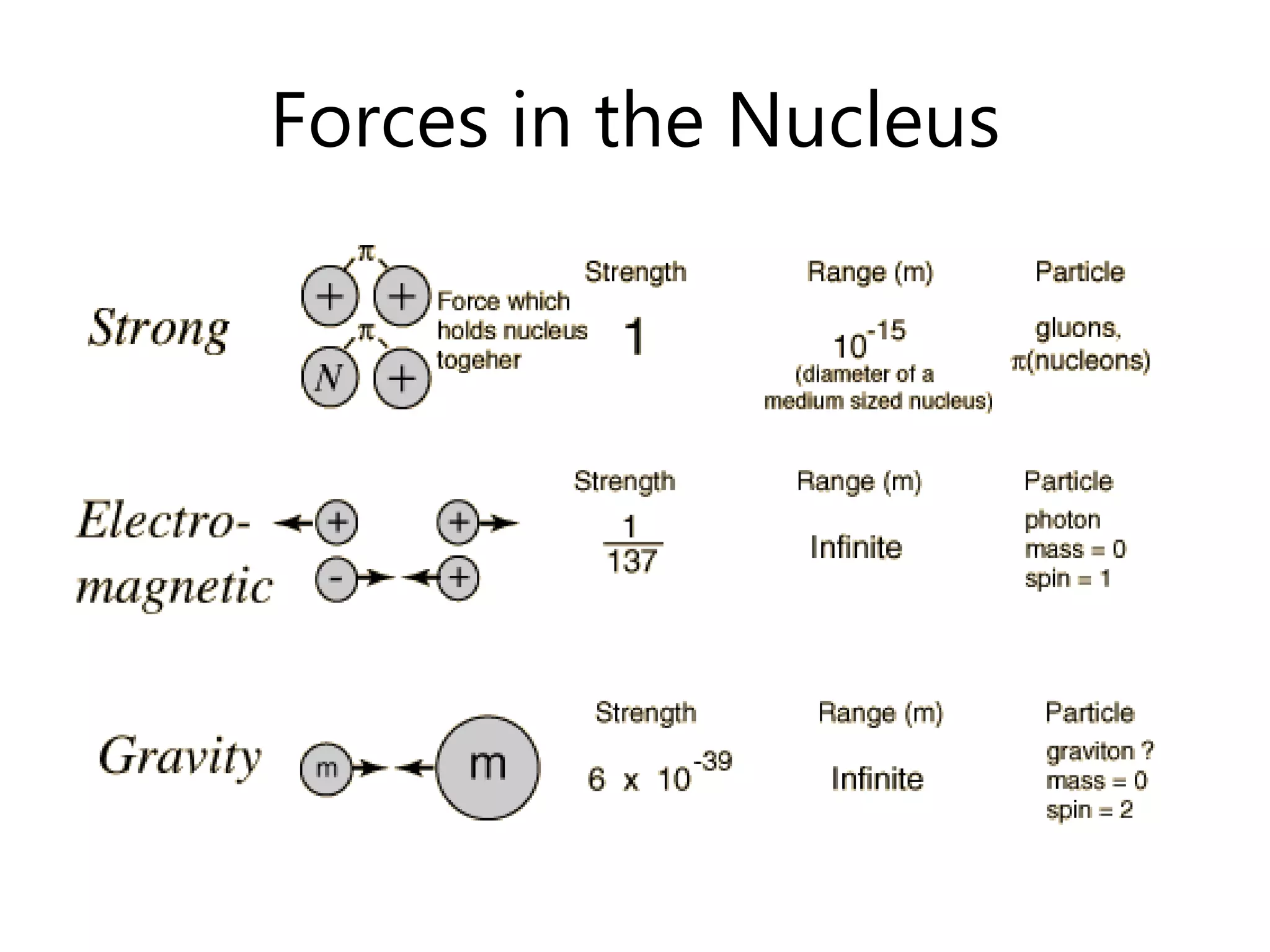 Forces in the Nucleus
 