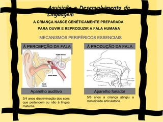 Aquisição e Desenvolvimento da Linguagem A CRIANÇA NASCE GENÉTICAMENTE PREPARADA PARA OUVIR E REPRODUZIR A FALA HUMANA MECANISMOS PERIFÉRICOS ESSENCIAIS À PERCEPÇÃO DA FALA  À PRODUÇÃO DA FALA Aparelho auditivo Aparelho fonador 3/4 anos discriminação dos sons que pertencem ou não à língua materna. 5/6 anos a criança atingiu a maturidade articulatória. 