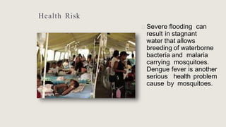 Health Risk
🞂 Severe flooding can
result in stagnant
water that allows
breeding of waterborne
bacteria and malaria
carrying mosquitoes.
Dengue fever is another
serious health problem
cause by mosquitoes.
 