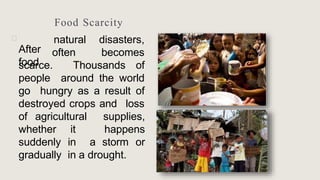 Food Scarcity
🞂
After
food
natural
often
disasters,
becomes
Thousands of
scarce.
people around the world
go hungry as a result of
destroyed crops and loss
of agricultural
whether it
suddenly in
supplies,
happens
a storm or
gradually in a drought.
 