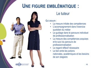 UNE FIGURE EMBLÉMATIQUE :
Le tuteur
Qui assure :
• La mesure initiale des compétences
• L’accompagnement dans l’exercice
quotidien du métier
• Le guidage dans le parcours individuel
de professionnalisation
• La mesure des compétences acquises
et le suivi du parcours de
professionnalisation
• Le regard réflexif nécessaire
• Le lien entre les actions
nationales, académiques et les besoins
de son stagiaire
12

 