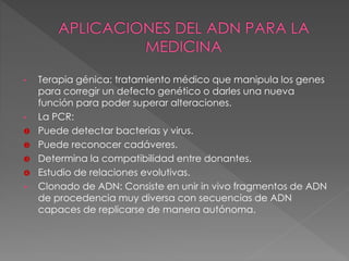 • Terapia génica: tratamiento médico que manipula los genes 
para corregir un defecto genético o darles una nueva 
función para poder superar alteraciones. 
• La PCR: 
 Puede detectar bacterias y virus. 
 Puede reconocer cadáveres. 
 Determina la compatibilidad entre donantes. 
 Estudio de relaciones evolutivas. 
• Clonado de ADN: Consiste en unir in vivo fragmentos de ADN 
de procedencia muy diversa con secuencias de ADN 
capaces de replicarse de manera autónoma. 
 