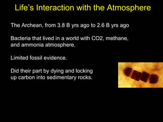 Life’s Interaction with the Atmosphere

The Archean, from 3.8 B yrs ago to 2.6 B yrs ago

Bacteria that lived in a world with CO2, methane,
and ammonia atmosphere.

Limited fossil evidence.

Did their part by dying and locking
up carbon into sedimentary rocks.
 