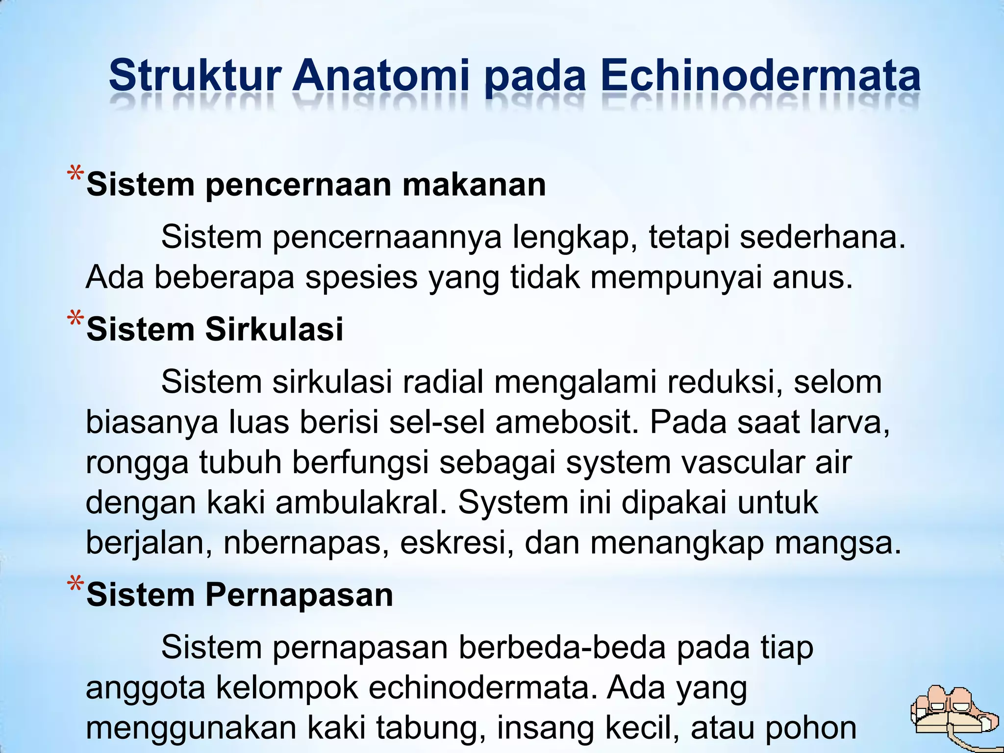 Struktur Anatomi pada Echinodermata

*Sistem pencernaan makanan
     Sistem pencernaannya lengkap, tetapi sederhana.
 Ada beberapa spesies yang tidak mempunyai anus.
*Sistem Sirkulasi
      Sistem sirkulasi radial mengalami reduksi, selom
 biasanya luas berisi sel-sel amebosit. Pada saat larva,
 rongga tubuh berfungsi sebagai system vascular air
 dengan kaki ambulakral. System ini dipakai untuk
 berjalan, nbernapas, eskresi, dan menangkap mangsa.
*Sistem Pernapasan
     Sistem pernapasan berbeda-beda pada tiap
 anggota kelompok echinodermata. Ada yang
 menggunakan kaki tabung, insang kecil, atau pohon
 