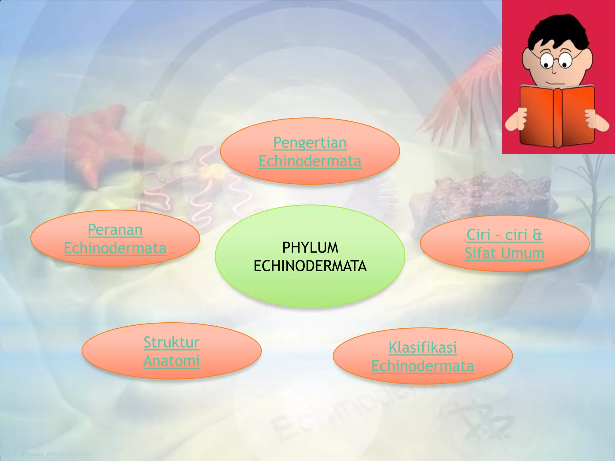Pengertian
                     Echinodermata



   Peranan                                      Ciri – ciri &
Echinodermata           PHYLUM                  Sifat Umum
                     ECHINODERMATA



          Struktur                     Klasifikasi
          Anatomi                    Echinodermata
 