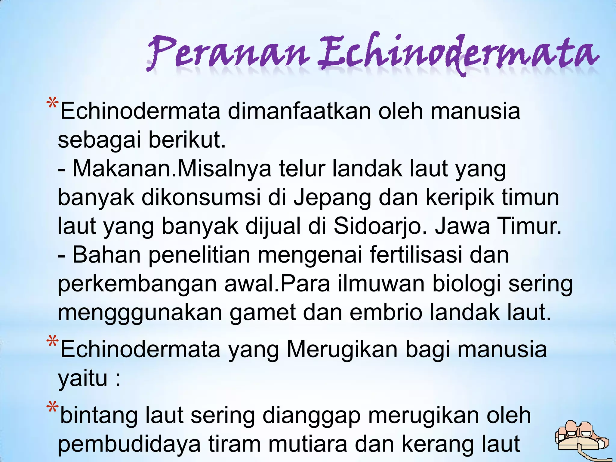 Peranan Echinodermata
*Echinodermata dimanfaatkan oleh manusia
 sebagai berikut.
 - Makanan.Misalnya telur landak laut yang
 banyak dikonsumsi di Jepang dan keripik timun
 laut yang banyak dijual di Sidoarjo. Jawa Timur.
 - Bahan penelitian mengenai fertilisasi dan
 perkembangan awal.Para ilmuwan biologi sering
 mengggunakan gamet dan embrio landak laut.
*Echinodermata yang Merugikan bagi manusia
 yaitu :
*bintang laut sering dianggap merugikan oleh
 pembudidaya tiram mutiara dan kerang laut
 