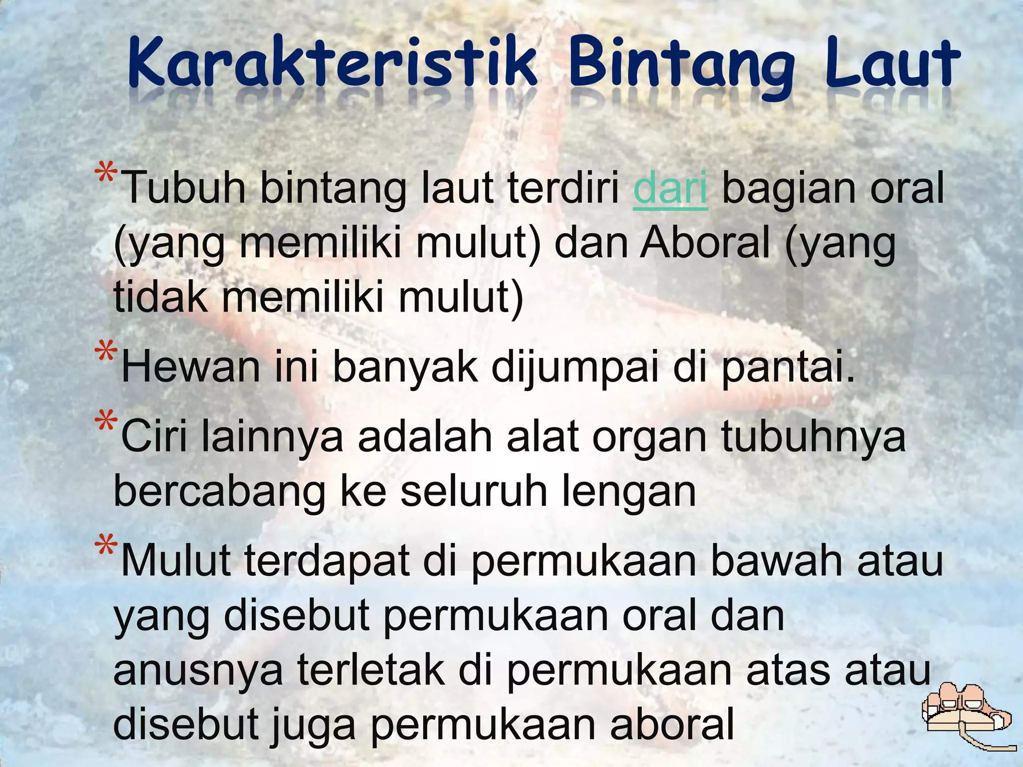 Karakteristik Bintang Laut
*Tubuh bintang laut terdiri dari bagian oral
 (yang memiliki mulut) dan Aboral (yang
 tidak memiliki mulut)
*Hewan ini banyak dijumpai di pantai.
*Ciri lainnya adalah alat organ tubuhnya
 bercabang ke seluruh lengan
*Mulut terdapat di permukaan bawah atau
 yang disebut permukaan oral dan
 anusnya terletak di permukaan atas atau
 disebut juga permukaan aboral
 