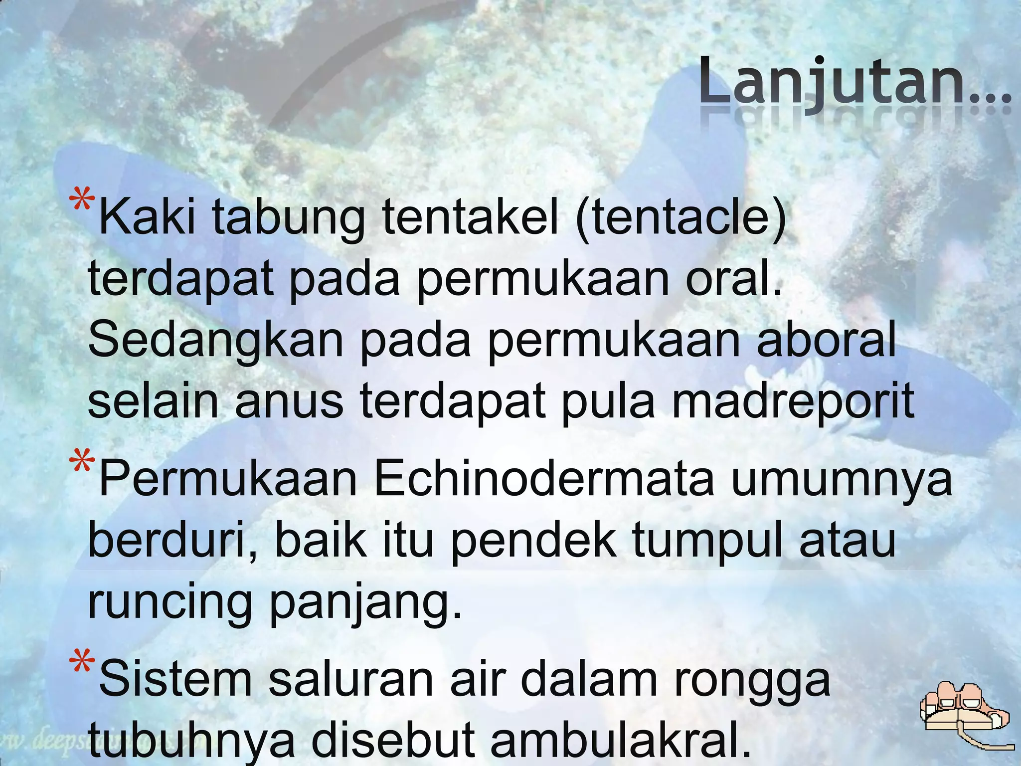 *Kaki tabung tentakel (tentacle)
terdapat pada permukaan oral.
Sedangkan pada permukaan aboral
selain anus terdapat pula madreporit
*Permukaan Echinodermata umumnya
berduri, baik itu pendek tumpul atau
runcing panjang.
*Sistem saluran air dalam rongga
tubuhnya disebut ambulakral.
 