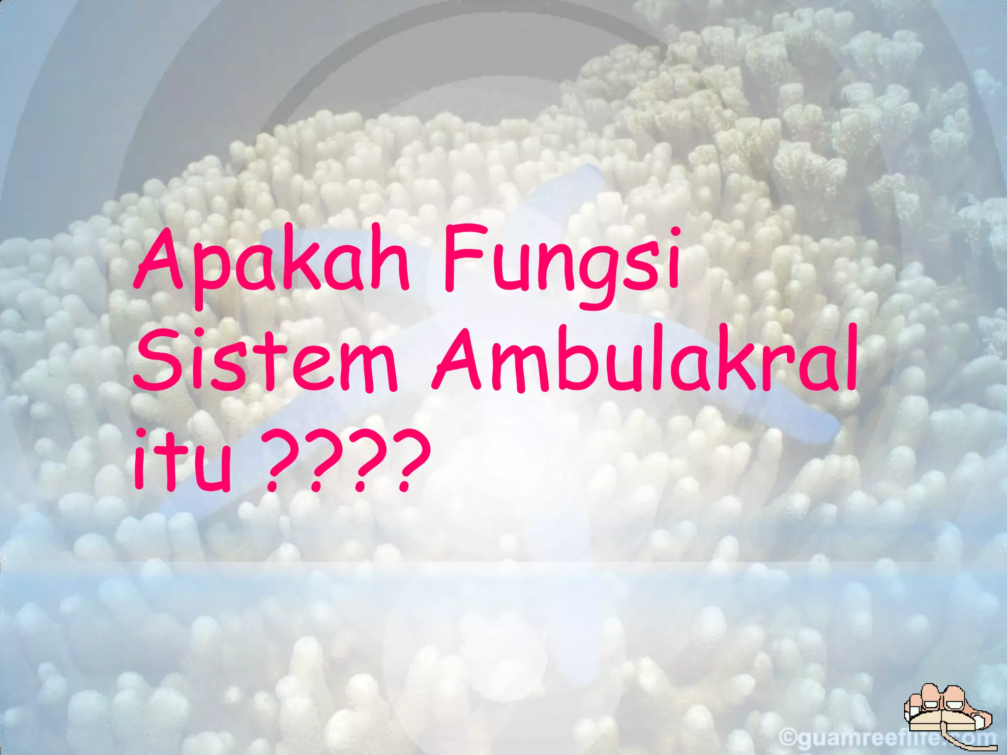 Apakah Fungsi
Sistem Ambulakral
itu ????
 