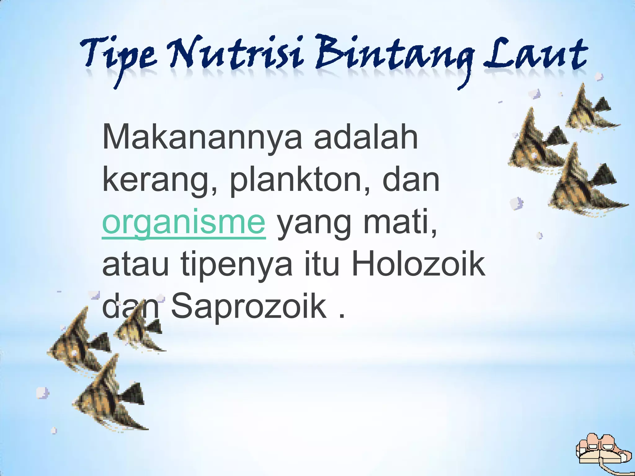 Tipe Nutrisi Bintang Laut

 Makanannya adalah
 kerang, plankton, dan
 organisme yang mati,
 atau tipenya itu Holozoik
 dan Saprozoik .
 