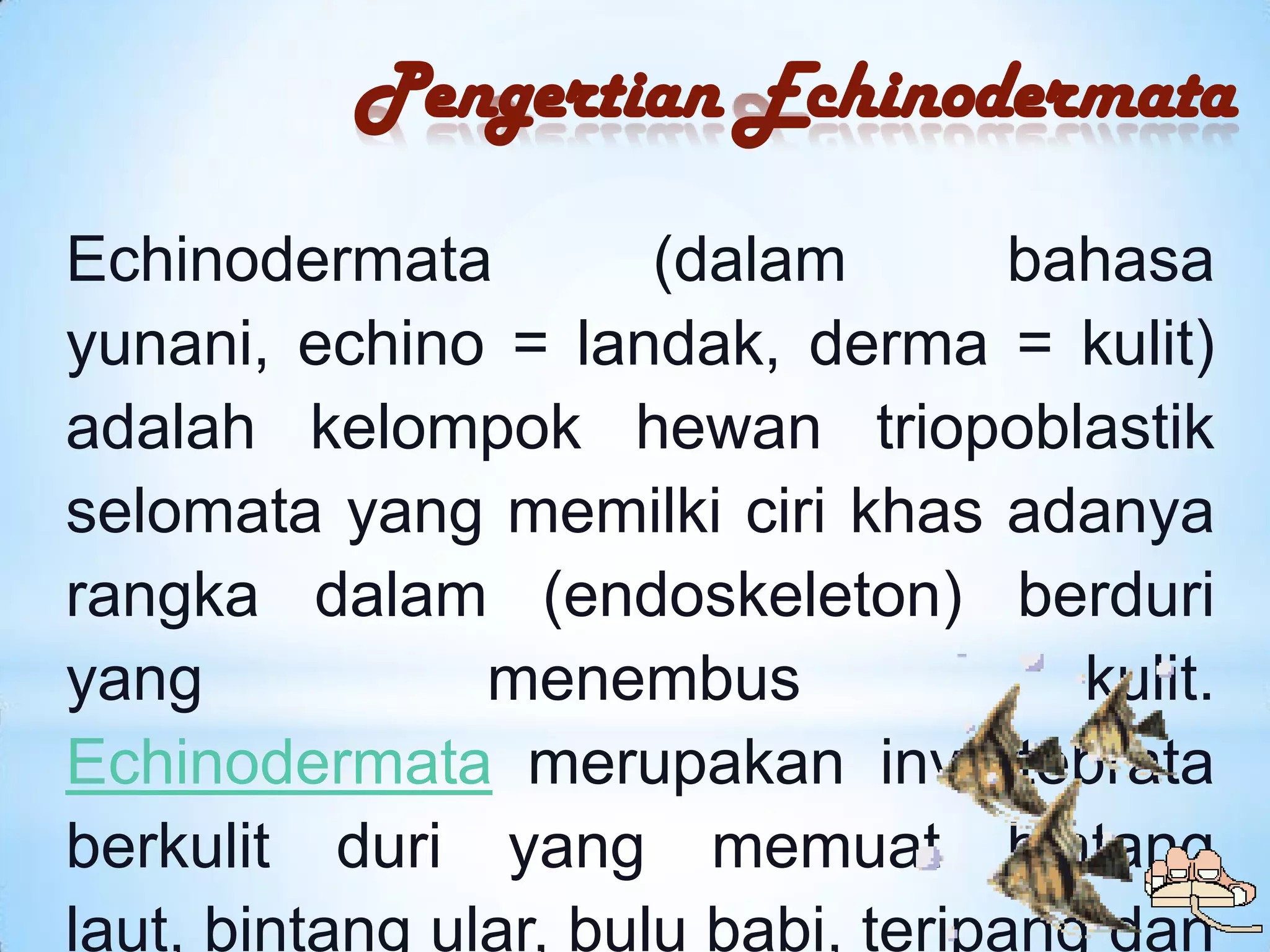 Pengertian Echinodermata

Echinodermata          (dalam        bahasa
yunani, echino = landak, derma = kulit)
adalah kelompok hewan triopoblastik
selomata yang memilki ciri khas adanya
rangka dalam (endoskeleton) berduri
yang            menembus               kulit.
Echinodermata merupakan invertebrata
berkulit duri yang memuat bintang
laut, bintang ular, bulu babi, teripang dan
 