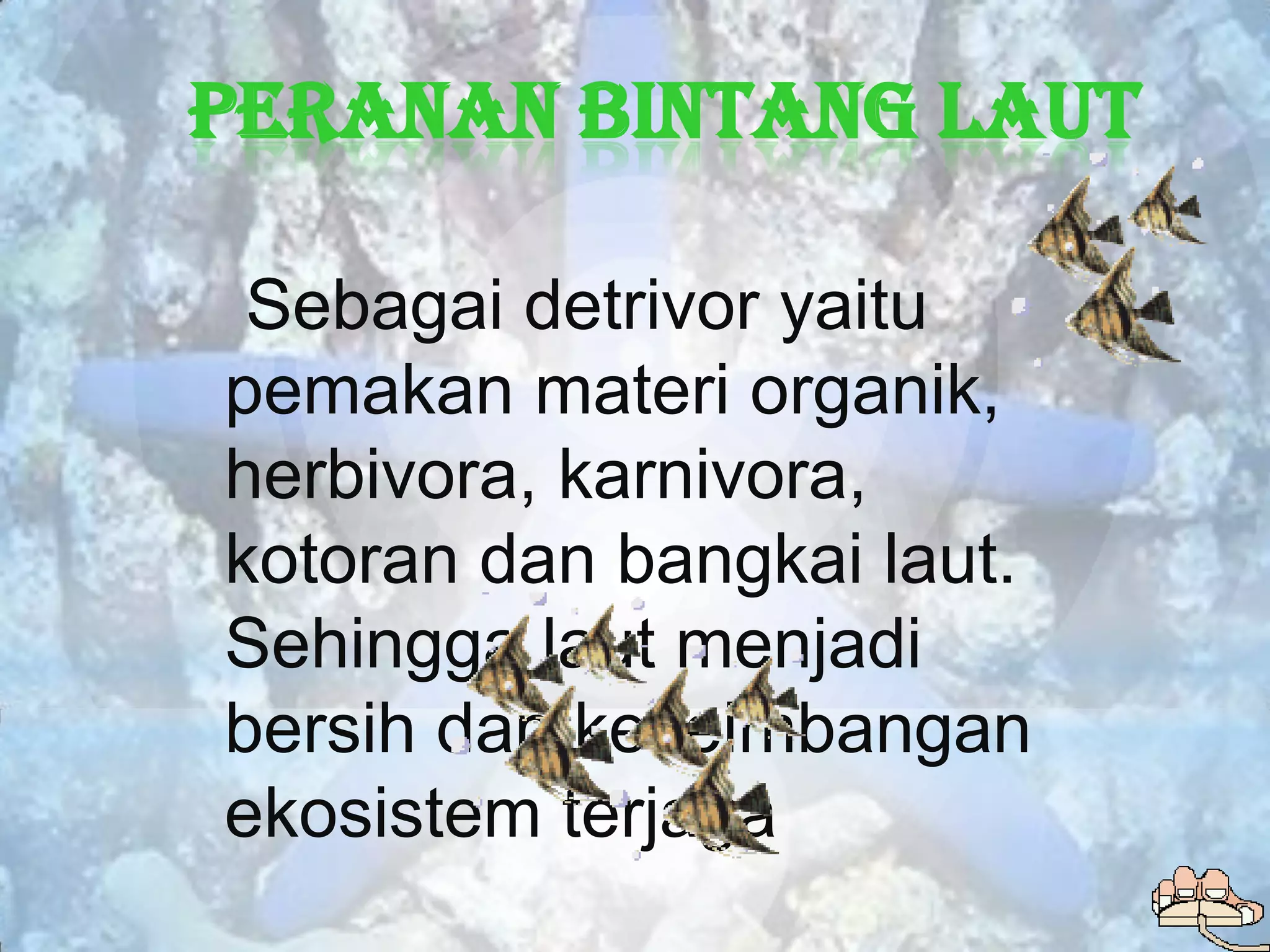 Peranan Bintang Laut

 Sebagai detrivor yaitu
pemakan materi organik,
herbivora, karnivora,
kotoran dan bangkai laut.
Sehingga laut menjadi
bersih dan keseimbangan
ekosistem terjaga
 