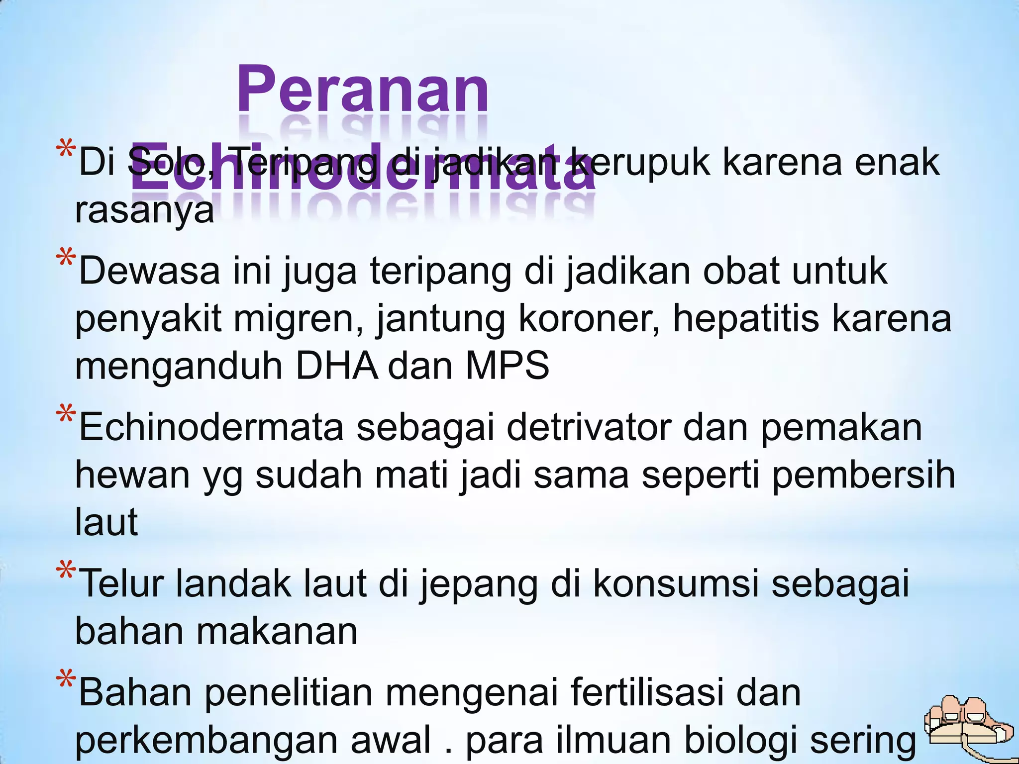 Peranan
*Di Solo, Teripang di jadikan kerupuk karena enak
    Echinodermata
 rasanya
*Dewasa ini juga teripang di jadikan obat untuk
 penyakit migren, jantung koroner, hepatitis karena
 menganduh DHA dan MPS
*Echinodermata sebagai detrivator dan pemakan
 hewan yg sudah mati jadi sama seperti pembersih
 laut
*Telur landak laut di jepang di konsumsi sebagai
 bahan makanan
*Bahan penelitian mengenai fertilisasi dan
 perkembangan awal . para ilmuan biologi sering
 