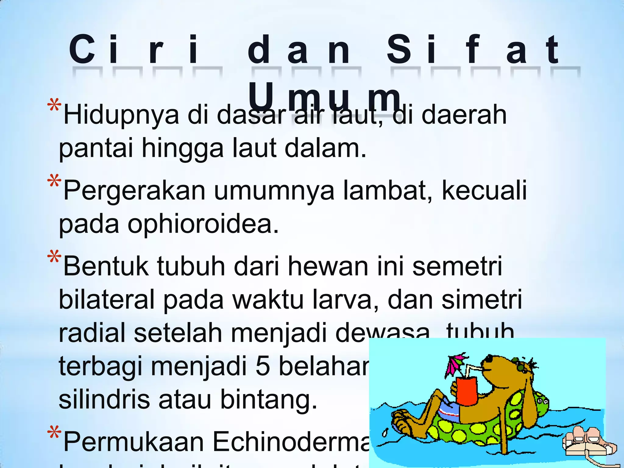 Ci r i        da n Si f a t
               U m u m daerah
*Hidupnya di dasar air laut, di
pantai hingga laut dalam.
*Pergerakan umumnya lambat, kecuali
pada ophioroidea.
*Bentuk tubuh dari hewan ini semetri
bilateral pada waktu larva, dan simetri
radial setelah menjadi dewasa, tubuh
terbagi menjadi 5 belahan ada yang bulat,
silindris atau bintang.
*Permukaan Echinodermata umumnya
 