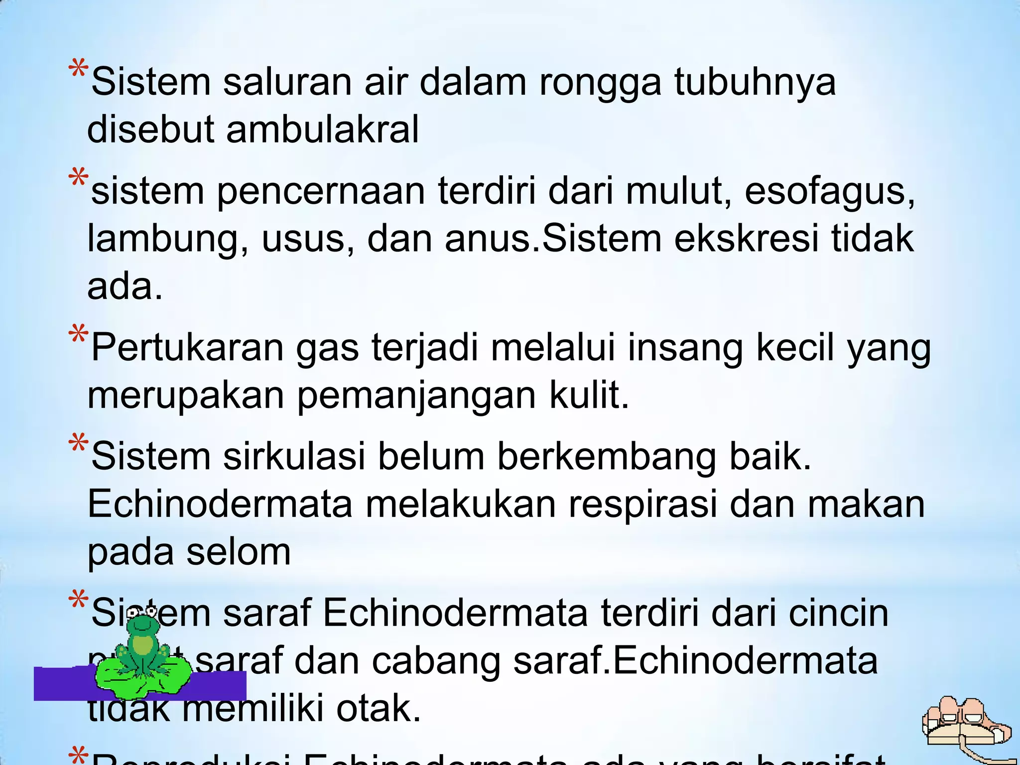 *Sistem saluran air dalam rongga tubuhnya
 disebut ambulakral
*sistem pencernaan terdiri dari mulut, esofagus,
 lambung, usus, dan anus.Sistem ekskresi tidak
 ada.
*Pertukaran gas terjadi melalui insang kecil yang
 merupakan pemanjangan kulit.
*Sistem sirkulasi belum berkembang baik.
 Echinodermata melakukan respirasi dan makan
 pada selom
*Sistem saraf Echinodermata terdiri dari cincin
 pusat saraf dan cabang saraf.Echinodermata
 tidak memiliki otak.
 