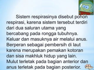 Sistem respirasinya disebut pohon
respirasi, karena sistem tersebut terdiri
dari dua saluran utama yang
bercabang pada ron...