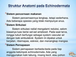 Struktur Anatomi pada Echinodermata

*Sistem pencernaan makanan
     Sistem pencernaannya lengkap, tetapi sederhana.
 Ada ...