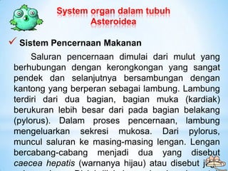 System organ dalam tubuh
                  Asteroidea

 Sistem Pencernaan Makanan
      Saluran pencernaan dimulai dari m...