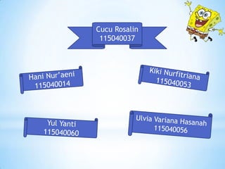 Cucu Rosalin
 115040037
 