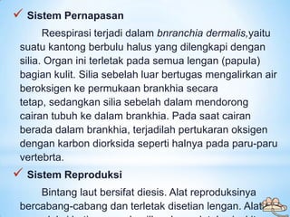 Sistem Pernapasan
       Reespirasi terjadi dalam bnranchia dermalis,yaitu
 suatu kantong berbulu halus yang dilengkapi ...