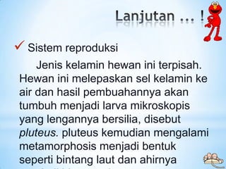  Sistem reproduksi
     Jenis kelamin hewan ini terpisah.
 Hewan ini melepaskan sel kelamin ke
 air dan hasil pembuahanny...