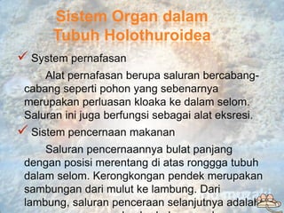Sistem Organ dalam
      Tubuh Holothuroidea
 System pernafasan
     Alat pernafasan berupa saluran bercabang-
 cabang se...