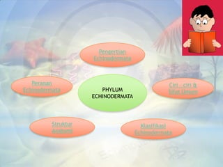 Pengertian
                     Echinodermata



   Peranan                                      Ciri – ciri &
Echinoderma...