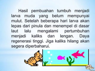 Hasil pembuahan tumbuh menjadi
larva muda yang belum mempunyai
mulut. Setelah beberapa hari larva akan
lepas dari pinula d...