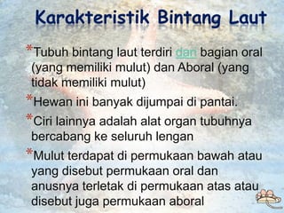 Karakteristik Bintang Laut
*Tubuh bintang laut terdiri dari bagian oral
 (yang memiliki mulut) dan Aboral (yang
 tidak mem...