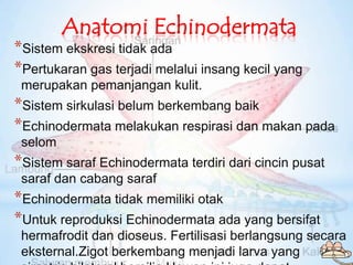 Anatomi Echinodermata
*Sistem ekskresi tidak ada
*Pertukaran gas terjadi melalui insang kecil yang
 merupakan pemanjangan ...