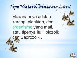 Tipe Nutrisi Bintang Laut

 Makanannya adalah
 kerang, plankton, dan
 organisme yang mati,
 atau tipenya itu Holozoik
 dan...