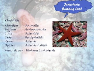 Jenis-jenis
                                    Bintang Laut


Klasifikasi
Kingdom       : Animalia
Phylum        : Echino...