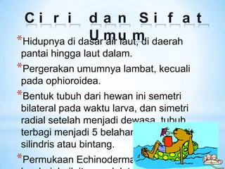 Ci r i        da n Si f a t
               U m u m daerah
*Hidupnya di dasar air laut, di
pantai hingga laut dalam.
*Perge...