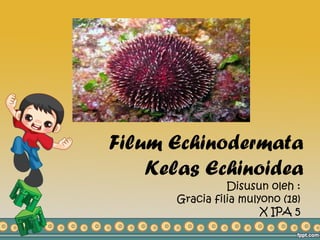 Filum Echinodermata
Kelas Echinoidea
Disusun oleh :
Gracia filia mulyono (18)
X IPA 5
 