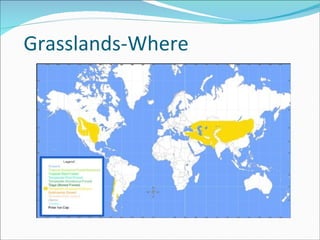 Grasslands-Where 