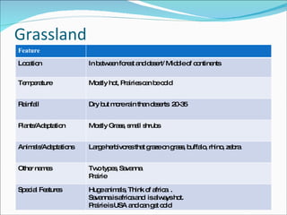 Grassland Feature Location In between forest and desert/ Middle of continents Temperature Mostly hot, Prairies can be cold Rainfall Dry but more rain than deserts  20-35 Plants/Adaptation Mostly Grass, small shrubs Animals/Adaptations Large herbivores that graze on grass, buffalo, rhino, zebra Other names Two types, Savanna  Prairie Special Features Huge animals, Think of africa  . Savanna is africa and  is always hot.  Prairie is USA and can get cold 
