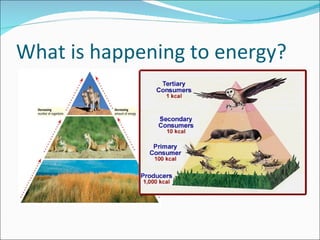 What is happening to energy? 