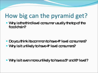 How big can the pyramid get? Why is the third level consumer usually the top of the food chain? Do you think its common to have 4 th  level consumers? Why is it unlikely to have 4 th  level consumers? Why is it even more unlikely to have a 5 th  and 6 th  level? 