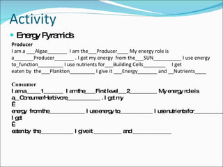 Activity Energy Pyramids Producer I am a ___Algae_______  I am the___Producer____ My energy role is  a_______Producer_______ . I get my energy  from the___SUN__________ I use energy to_function_________ I use nutrients for___Building Cells________  I get  eaten by  the___Plankton_________ I give it ___Energy_______ and __Nutrients____ Consumer I am a _____1_______  I am the____First level___2__________ My energy role is  a__Consumer/Herbivore____________ . I get my    energy  from the_____________ I use energy to____________ I use nutrients for___________  I get    eaten by  the____________ I give it __________ and ______________ 