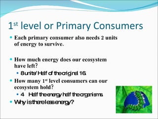 1 st  level or Primary Consumers Each primary consumer also needs 2 units of energy to survive.  How much energy does our ecosystem have left? 8 units/ Half of the original 16.  How many 1 st  level consumers can our ecosystem hold? 4  Half the energy half the organisms.  Why is there less energy? 