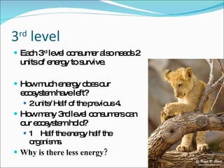 3 rd  level  Each 3 rd  level consumer also needs 2 units of energy to survive.  How much energy does our ecosystem have left? 2 units/ Half of the previous 4.  How many 3rd level consumers can our ecosystem hold? 1  Half the energy half the organisms.  Why is there less energy? 