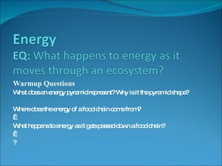 Warmup Questions What does an energy pyramid represent? Why is it the pyramid shape? Where does the energy of a food chain come from?   What happens to energy as it gets passed down a food chain?   ? 