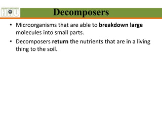 Fish Decomper Ppt ecology of fish pond ecosystem | PPTX