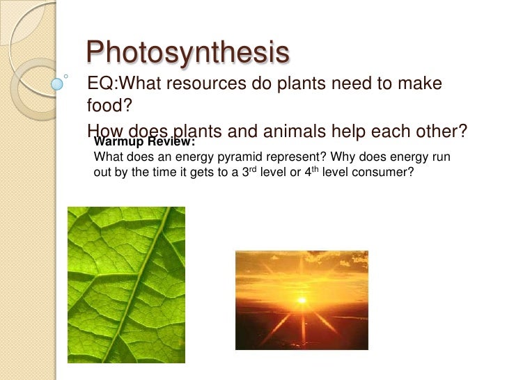 Ppt Ecol Photosynthesis